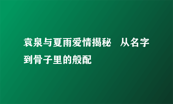 袁泉与夏雨爱情揭秘   从名字到骨子里的般配