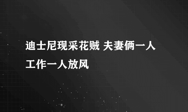 迪士尼现采花贼 夫妻俩一人工作一人放风