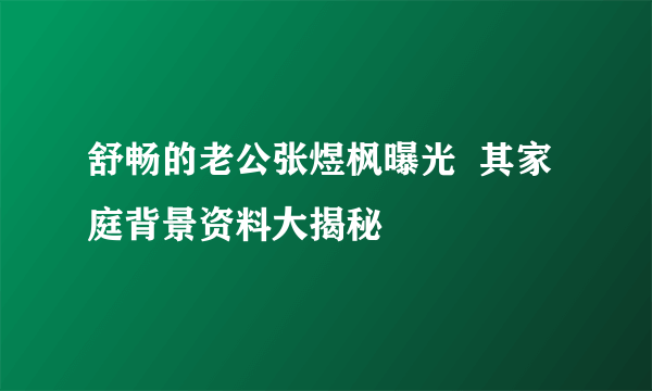 舒畅的老公张煜枫曝光  其家庭背景资料大揭秘