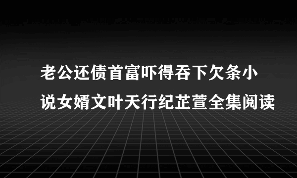 老公还债首富吓得吞下欠条小说女婿文叶天行纪芷萱全集阅读