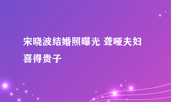 宋晓波结婚照曝光 聋哑夫妇喜得贵子