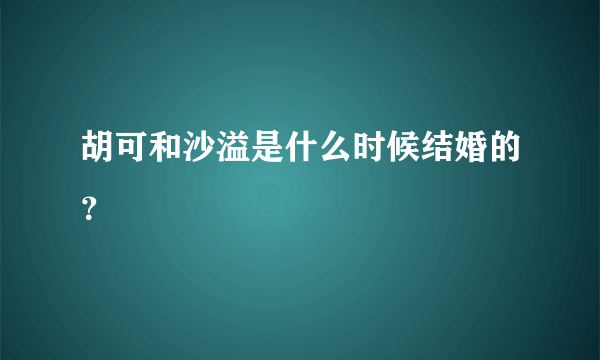 胡可和沙溢是什么时候结婚的？