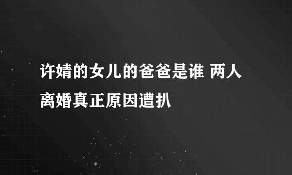 许婧的女儿的爸爸是谁 两人离婚真正原因遭扒