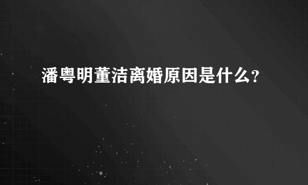 潘粤明董洁离婚原因是什么？