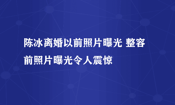 陈冰离婚以前照片曝光 整容前照片曝光令人震惊