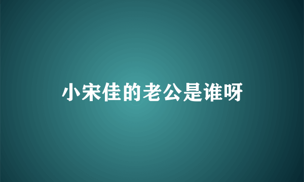 小宋佳的老公是谁呀