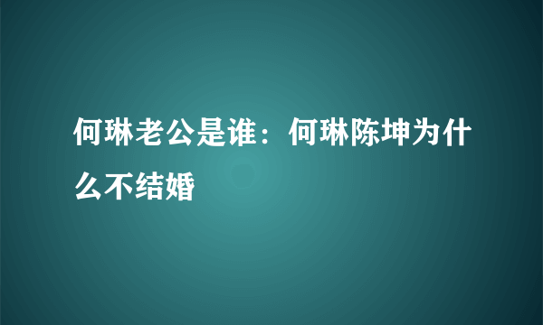 何琳老公是谁：何琳陈坤为什么不结婚