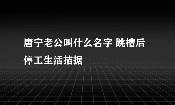 唐宁老公叫什么名字 跳槽后停工生活拮据