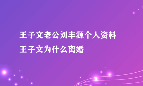 王子文老公刘丰源个人资料 王子文为什么离婚