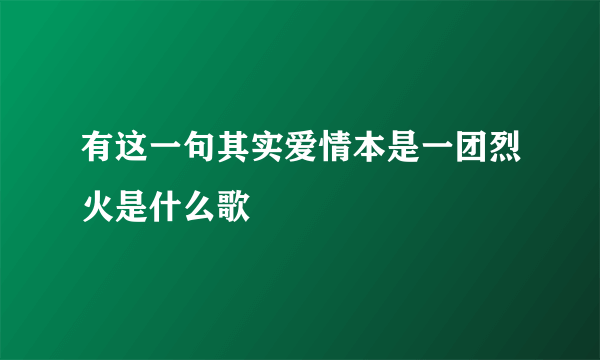 有这一句其实爱情本是一团烈火是什么歌