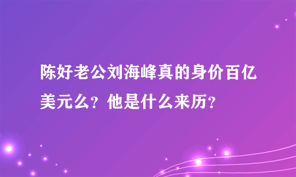 陈好老公刘海峰真的身价百亿美元么？他是什么来历？