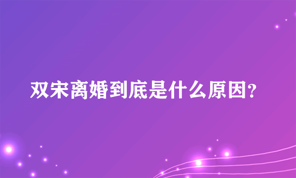 双宋离婚到底是什么原因？