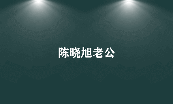 陈晓旭老公