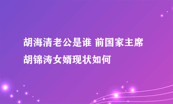 胡海清老公是谁 前国家主席胡锦涛女婿现状如何