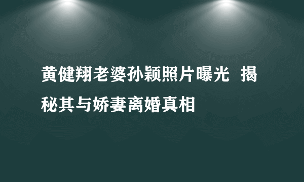 黄健翔老婆孙颖照片曝光  揭秘其与娇妻离婚真相