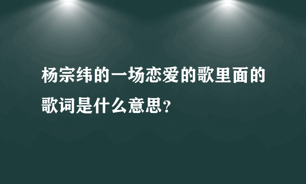 杨宗纬的一场恋爱的歌里面的歌词是什么意思？