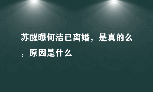 苏醒曝何洁已离婚，是真的么，原因是什么