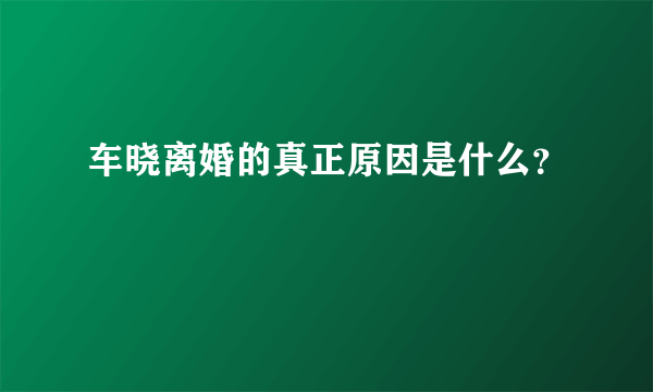 车晓离婚的真正原因是什么？