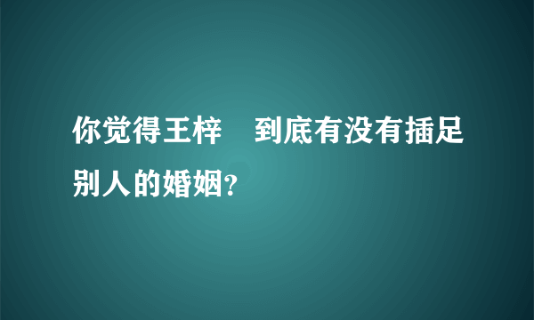 你觉得王梓芠到底有没有插足别人的婚姻？