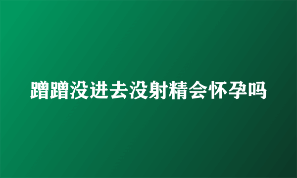 蹭蹭没进去没射精会怀孕吗