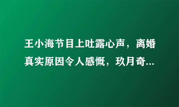 王小海节目上吐露心声，离婚真实原因令人感慨，玖月奇迹为何离婚呢？