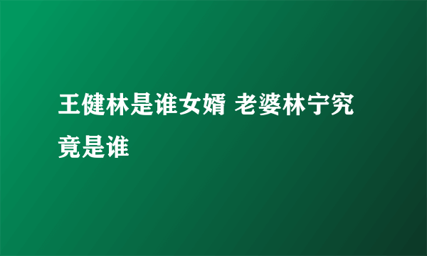 王健林是谁女婿 老婆林宁究竟是谁