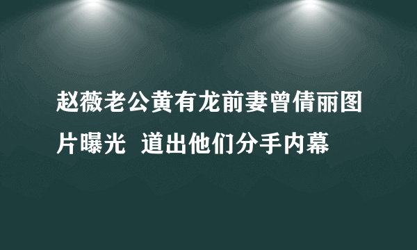 赵薇老公黄有龙前妻曾倩丽图片曝光  道出他们分手内幕