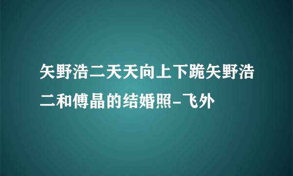 矢野浩二天天向上下跪矢野浩二和傅晶的结婚照-飞外