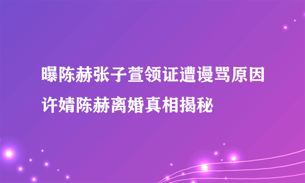 曝陈赫张子萱领证遭谩骂原因许婧陈赫离婚真相揭秘