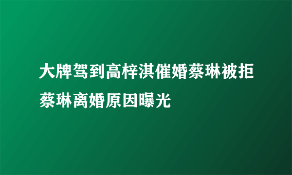 大牌驾到高梓淇催婚蔡琳被拒蔡琳离婚原因曝光