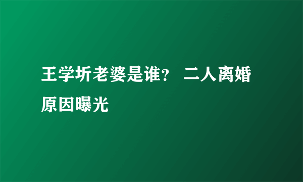 王学圻老婆是谁？ 二人离婚原因曝光