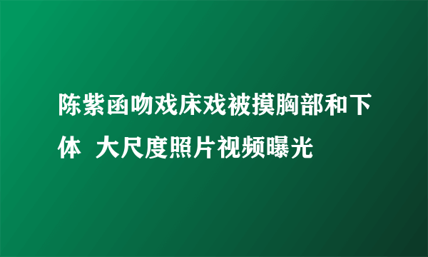 陈紫函吻戏床戏被摸胸部和下体  大尺度照片视频曝光