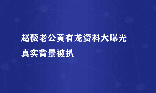 赵薇老公黄有龙资料大曝光 真实背景被扒