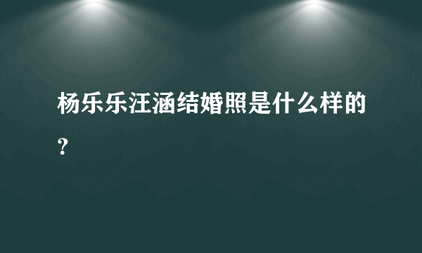 杨乐乐汪涵结婚照是什么样的？