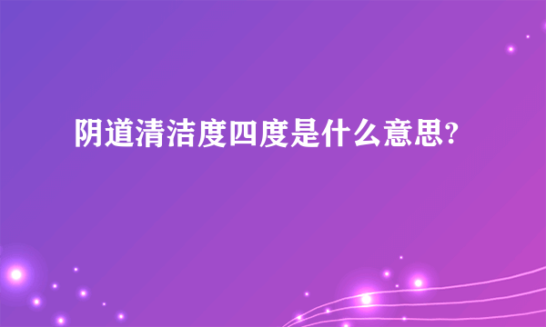 阴道清洁度四度是什么意思?