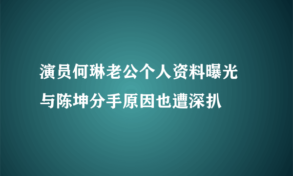 演员何琳老公个人资料曝光 与陈坤分手原因也遭深扒