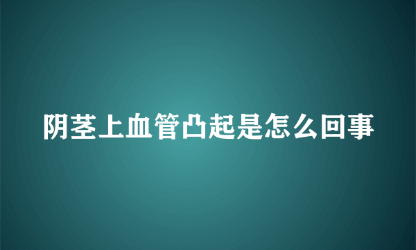 阴茎上血管凸起是怎么回事