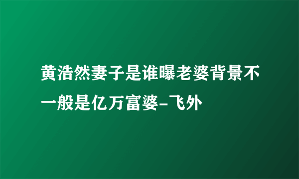 黄浩然妻子是谁曝老婆背景不一般是亿万富婆-飞外