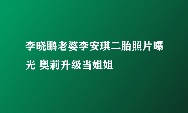 李晓鹏老婆李安琪二胎照片曝光 奥莉升级当姐姐