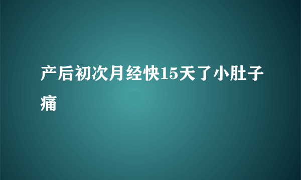 产后初次月经快15天了小肚子痛