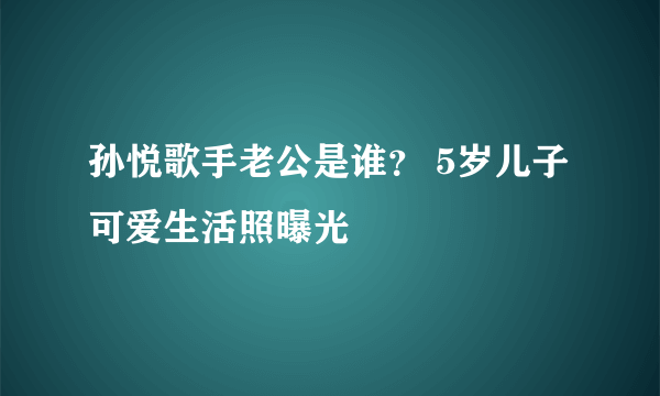 孙悦歌手老公是谁？ 5岁儿子可爱生活照曝光