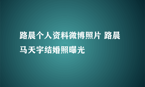 路晨个人资料微博照片 路晨马天宇结婚照曝光