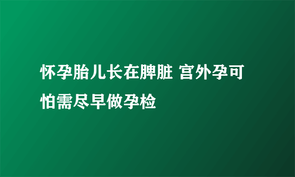 怀孕胎儿长在脾脏 宫外孕可怕需尽早做孕检