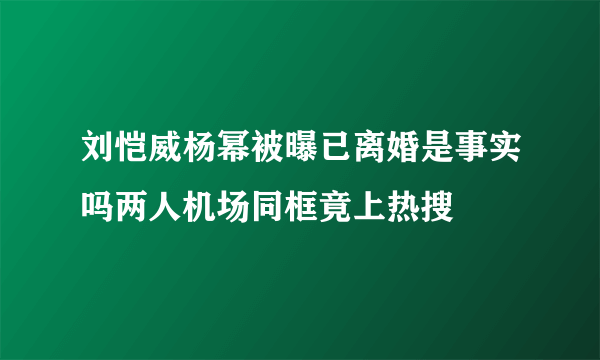 刘恺威杨幂被曝已离婚是事实吗两人机场同框竟上热搜