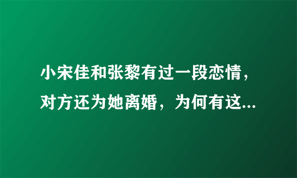 小宋佳和张黎有过一段恋情，对方还为她离婚，为何有这么大的魅力？