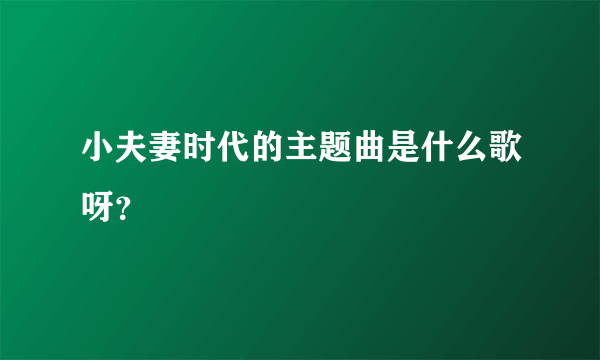 小夫妻时代的主题曲是什么歌呀？