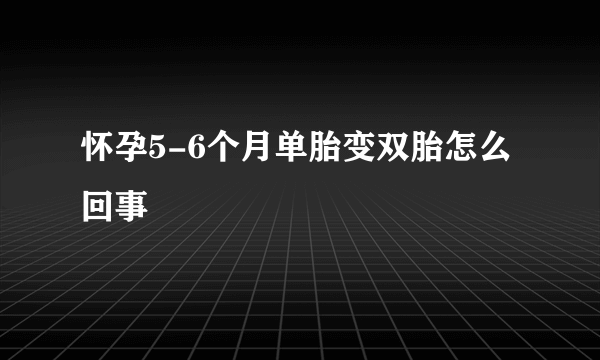 怀孕5-6个月单胎变双胎怎么回事