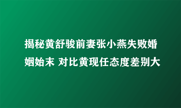 揭秘黄舒骏前妻张小燕失败婚姻始末 对比黄现任态度差别大