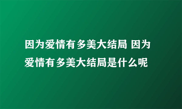 因为爱情有多美大结局 因为爱情有多美大结局是什么呢