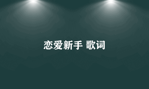 恋爱新手 歌词